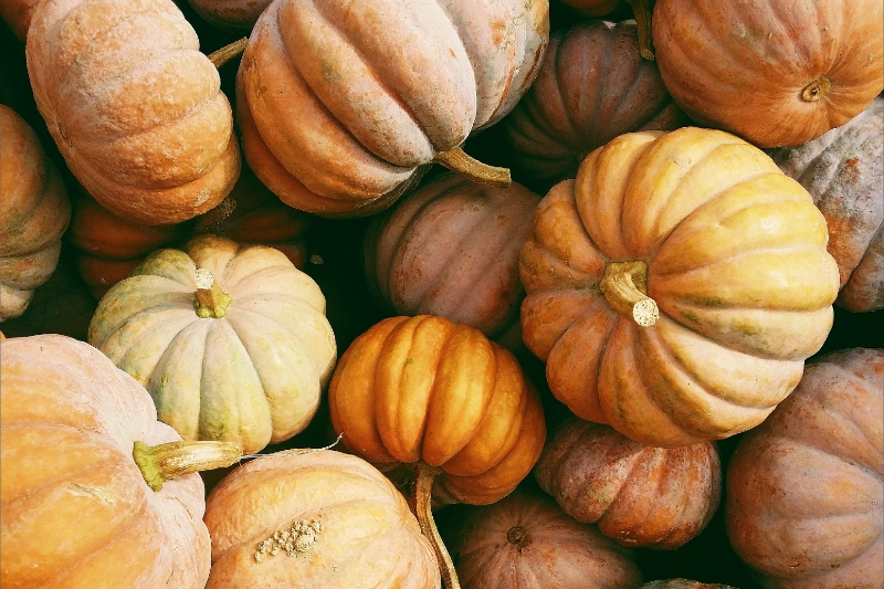 RR Events Fall Fest Weekend